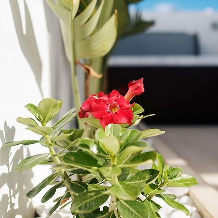 Villa Palmera Jacuzzi Yaiza  Luaran gambar